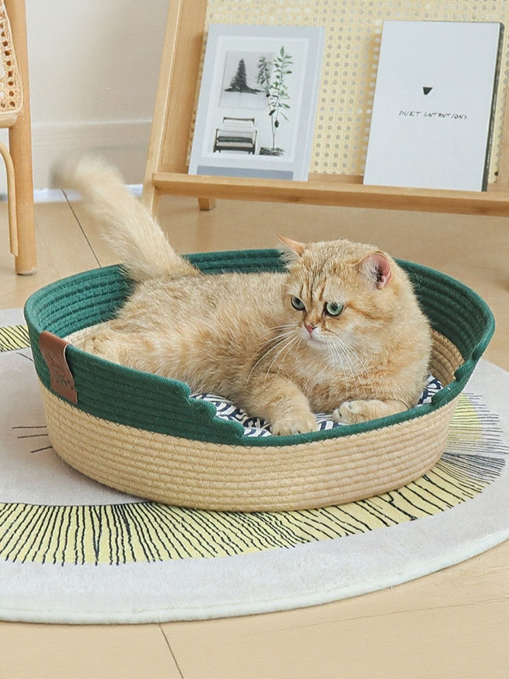 495c2252-b823-4827-a918-32ce60882c9e-Max